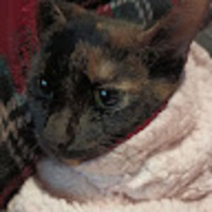 Meet your Posher, Karla